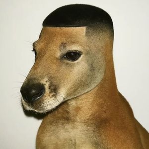 Tang's dog