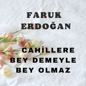 Cahillere Bey Demeyle Bey Olmaz