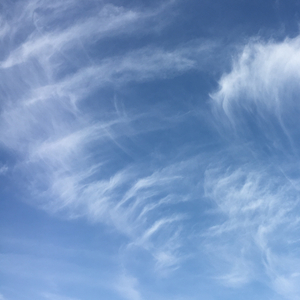 体育馆路 14（翻