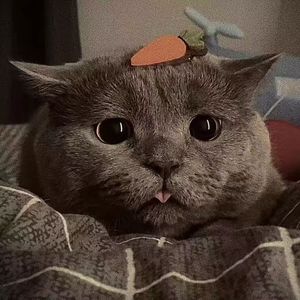 怎么我睡不着你也不来救我