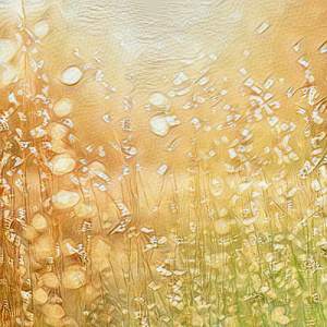 Result Liquidise