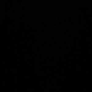 **** These Hoes (feat. Nisha)