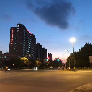 你别孤独，留我庸俗