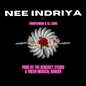 Nee Indriya (feat. DJ John & Tnesh)