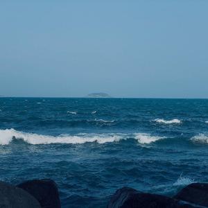 琴师