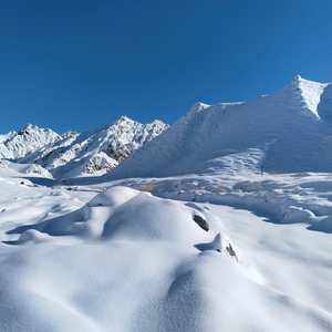 美丽的鱼儿红我的家乡