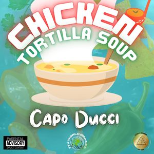 Chicken Tortilla Soup (freestyle)