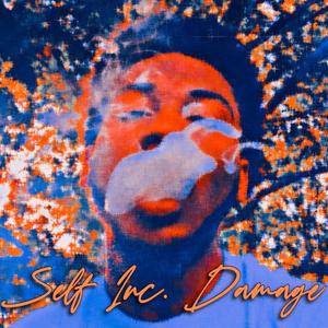Self Inc. Damage