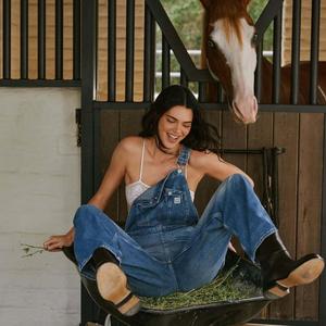 你骗了我很多次