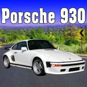 Porsche 930, Internal Perspective: Door Closed