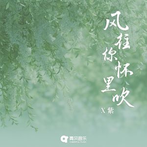 风往你怀里吹