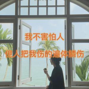 我不害怕人，但人把我伤的遍体鳞伤