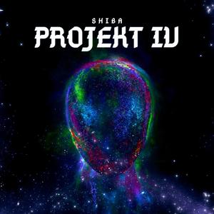 Projekt IV