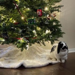 love song <3 (feat. thekid.ACE)