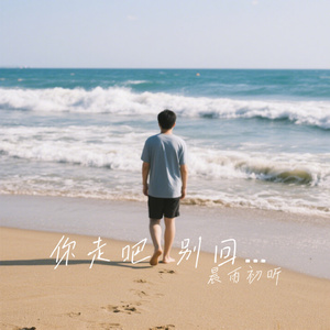 你走吧 别回头