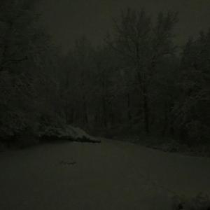 Letter for Mi Cariño