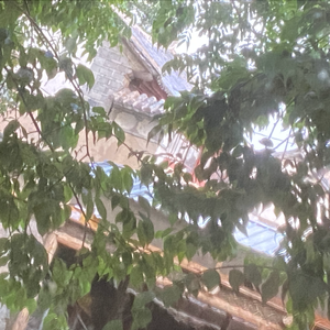 No Time to Lose All Time to Die 伴奏