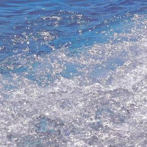 真理之途的追寻者