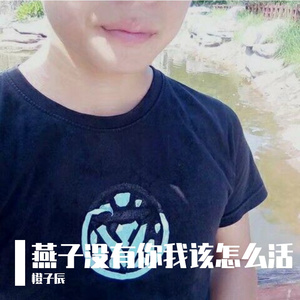 燕子没有你我该怎么活 橙子作曲