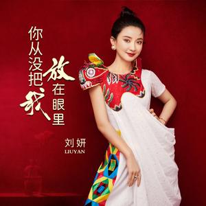 你从没把我放在眼里