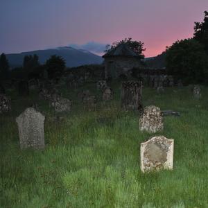 Dead Kids Dont Dance (feat. Shyfox)