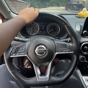 炮总Remix-想成功 想发疯（炮总Remix remix）