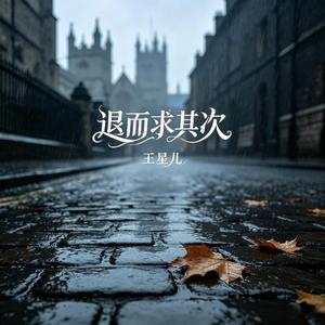 退而求其次