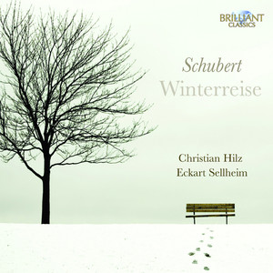 Winterreise, D. 911: No. 7, Auf dem Flusse