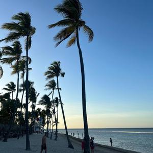 NO RUSH (feat. 30perk)