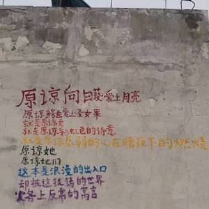 你总是很有想法