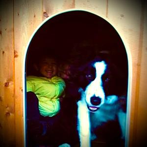 Anche Gli Strumenti Sanno Parlare (Il Prisma)