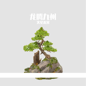 龙腾九州