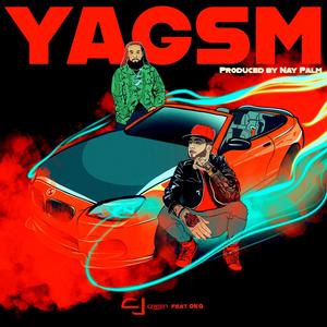 YAGSM