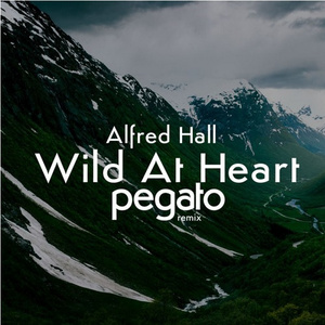 Wild at Heart (Pegato Remix)