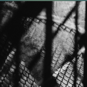 Money so big (Slowed)