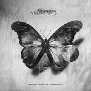 A Night At Hoppetosse (Finnebassen Remix)