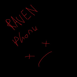 Raven Phonk