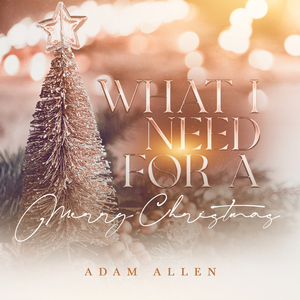 What I Need for a Merry Christmas