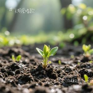 春泥 (R&B)（Cover 周菲杰）