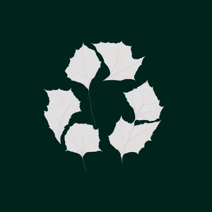 ЭРАУНД (feat. ICN)