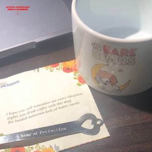 月亮仙子的情书/恨