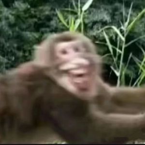 开大火车创逝妮