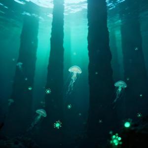 浪吻深海