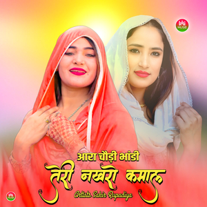 आरा चौड़ी भांडी तेरी नखरो कमाल