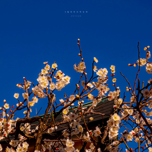 3월의 마지막 밤에