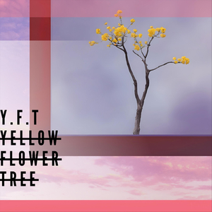 Yellow Flower Tree