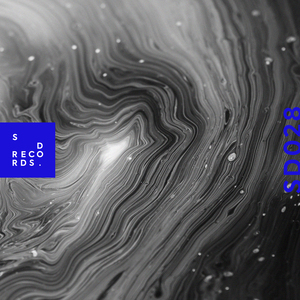 Flow with You (Ludowick Remix)