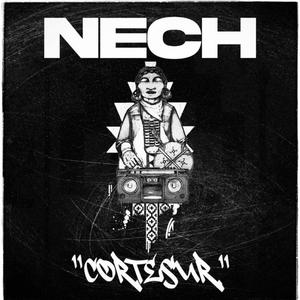 El balón vecina. -Naitzav - Nech