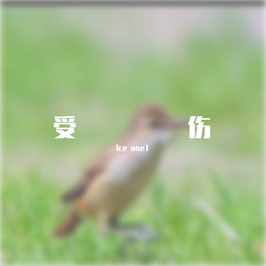 小鸟(prod.by xouns)