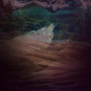 Saharawi Rainforests Near the Ocean